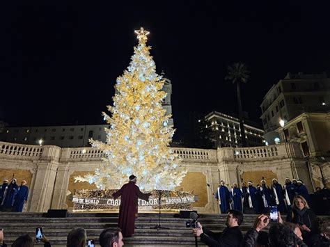 albero christian dior roma|Acceso l'albero di Natale in Piazza di Spagna .